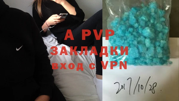 трава Осинники
