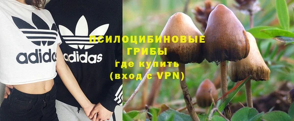 стаф Алексин
